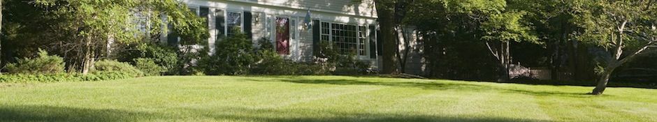 Lawn Replacement & Sprinkler Systems
