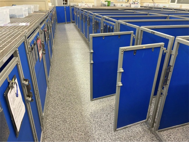 Read more: Epoxy Floor Coatings and Industrial Floor Coatings